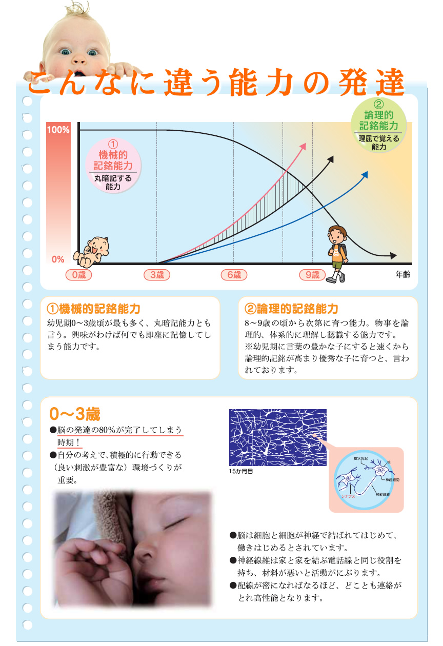 子供の脳の発達